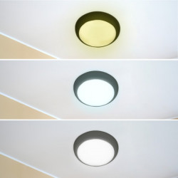 LED plafonjera 16,20,24W, promenljiva boja svetla ( 202234 ) - Img 3
