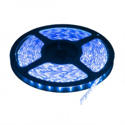 LED traka plava 60 LED / 1m ( LTR2835/60B-12 )