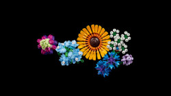 Lego Buket divljeg cveća ( 10313 ) - Img 13