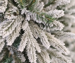 Novogodišnja jelka Ice Shade 180 cm ( LOW-ISD-180 ) - Img 2