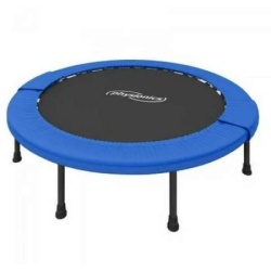 Physionics Mini trambolina 40 inča (? 102 cm) ( MTRPL01-40 )