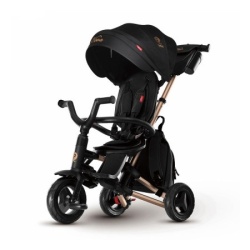 QPlay Tricikl Nova zlatni ram S700 ( S700 )