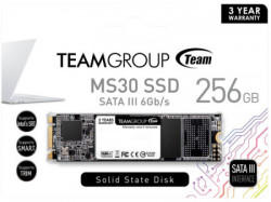 TeamGroup M.2 2280 256GB MS30 NGFF SSD SATA3 500/400MB/s TM8PS7256G0C101 - Img 2