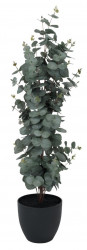 Veštačka biljka Ripa V90cm eukaliptus ( 6435500 )