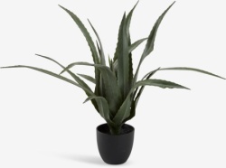 Veštačka biljka V65cm aloe vera