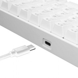 White shark GK 2022 shinobi white SR mechanical keyboard - Img 3