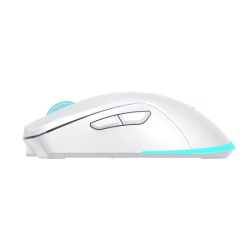 Baracuda BGM 122 Turtle Wireless Mouse White-4