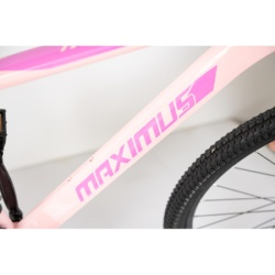 Bicikla 29"/21  maximus pink   ( BCK0950 ) -9