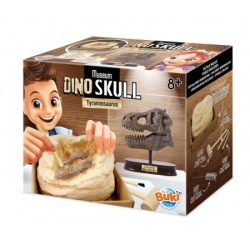 Buki Dino skelet ( 104872 )