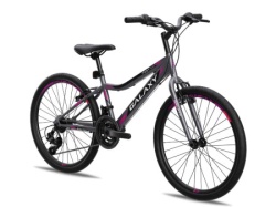 Galaxy Bicikl galaxy festina 24"/18 siva/crna/roza mat ( 650243 )