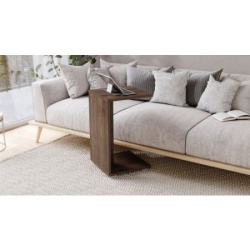 Hugo Sto Braon ( 1637 )