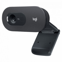 Logitech web camera C505e 960-001372 - Img 1