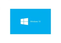 Microsoft Win. 10 Pro 64bit 1pk dsp oei dvd fqc-08909 Software