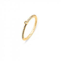 Paul hewitt rope north star zlatni prsten od hirurškog Čelika 54 ( ph-fr-stro-g-54 ) - Img 1