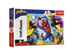 Puzzle 30 spider 18307 103026 ( 125/83078 )