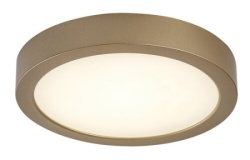 Rabalux Shaun Plus Spoljna plafonska rasveta ( 75078 )