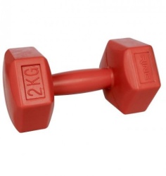 Ring bučica 1x2kg plastična - RX PD-2