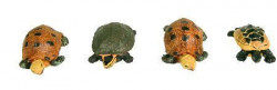 Trixie 12-delni set žabe+kornjače ( 8971 )