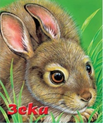 Tvrde slikovnice - Zeka ( 241901 )