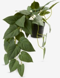 Veštačka biljka viseća sa saksijom