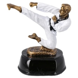 Victory pehar karatista 12 cm ( 701232 )