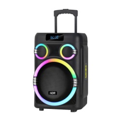 Zvucnik bluetooth ndr-b315 60w 15inca sa dva mikrofona crni ( ZV1249 )