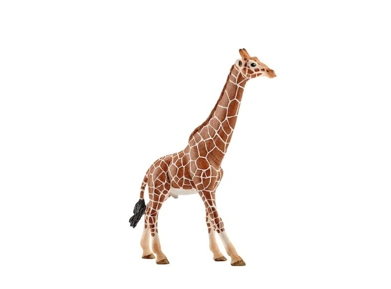 Pachet Figurine Schleich, Viata in Africa - 2 | YEO