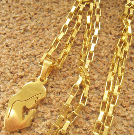 Lant dama +medalion INOX ( otel inoxidabil ) cod mihasem598