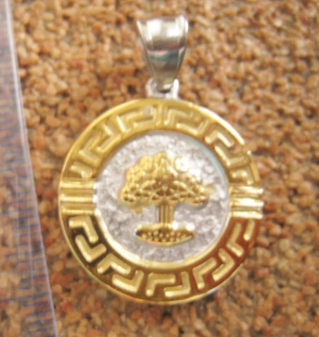 Medalion INOX  ( otel inoxidabil ) cod mihasem349 - Img 2