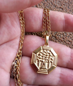 Lant +medalion INOX dama ( otel inoxidabil ) cod mihasem634