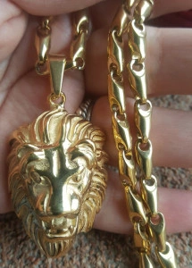 Lant +medalion INOX placat ( otel inoxidabil ) cod mihasem399 - Img 2