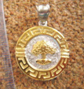Medalion INOX  ( otel inoxidabil ) cod mihasem349