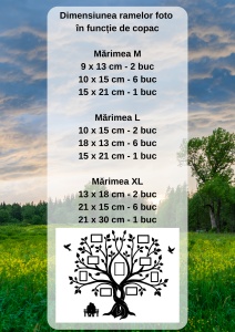 Ramă foto Copacul Vieții - Img 3