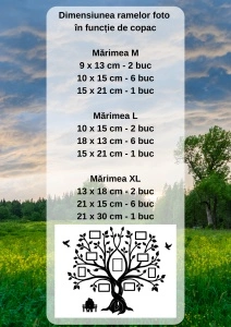 Ramă foto Copacul Vieții - Img 3