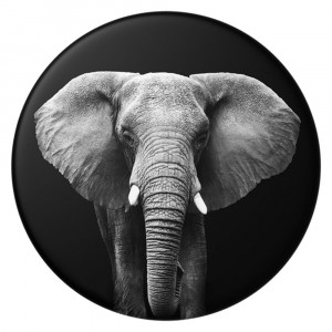 Suport pentru Telefon - Popsockets PopGrip - Loxodonta Africana - Img 3