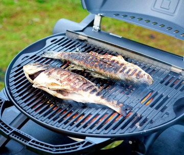 O-GRILL 500 CREM | Grill