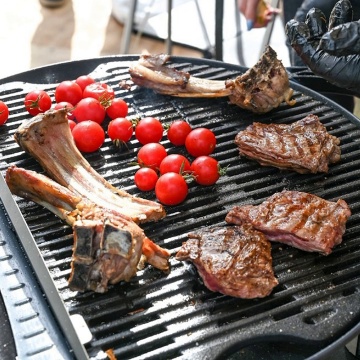 Gratar OGRILL 600 | Gratar grill pe gaz | Prtabil gaz grill