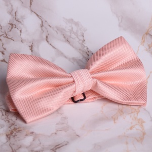 Papion Barbati - Somon