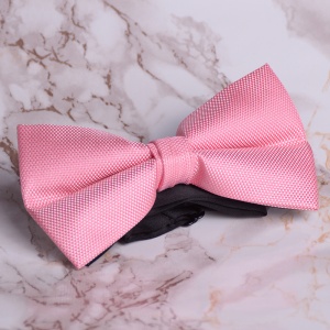 Papion Barbati - Roze