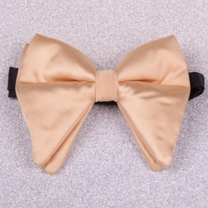 Papion Fluture ( Butterfly ) Crem