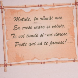 Tavita Mot - Verde - Img 2