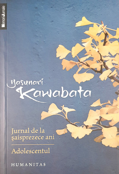 Jurnal de la saisprezece ani * Adolescentul | Yasunari Kawabata
