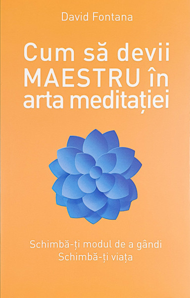 Cum sa devii maestru in arta meditatiei | David Fontana