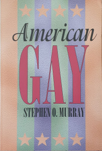 American Gay | Stephen O. Murray