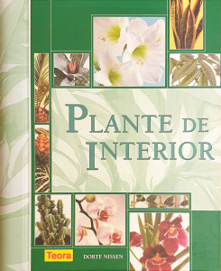 Plante de interior | Dorte Nissen