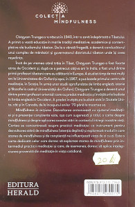 Mindfulness in actiune | Chogyam Trungpa