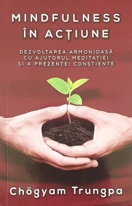 Mindfulness in actiune | Chogyam Trungpa