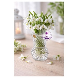 Vaza evazata Cristal Bohemia 10 cm (87800-02010-102) 
