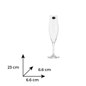 GAVIA - Pahare sampanie flute sticla cristalina Bohemia 220 ml (set 6 pahare) (91L-1SI97-220) 