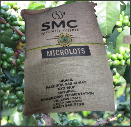 BRAZILIA Fazenda das Almas - Honey - MICROLOT - Green Coffee - Img 5